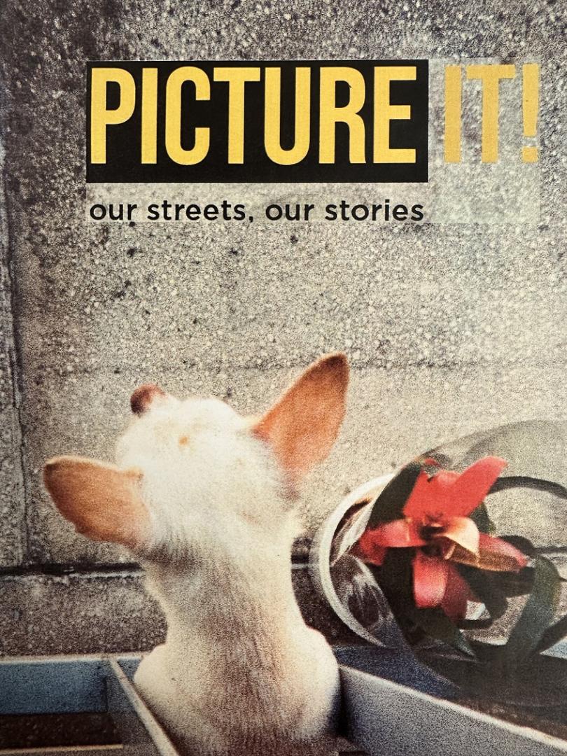 picture it web