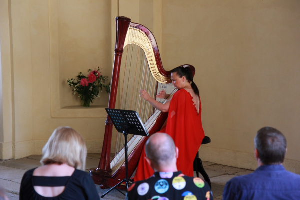 Katar&iacute;na &Scaron;evč&iacute;kov&aacute; - Harfa