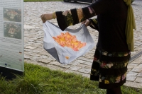 V&iacute;cebarevn&aacute; jav&aacute;nsk&aacute; batika